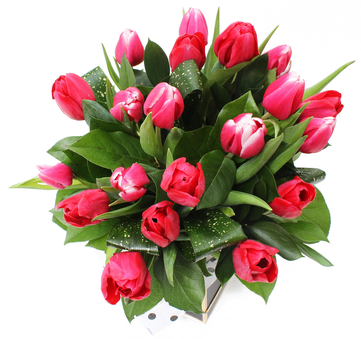 Premium Hot Pink Double Tulip Bouquet